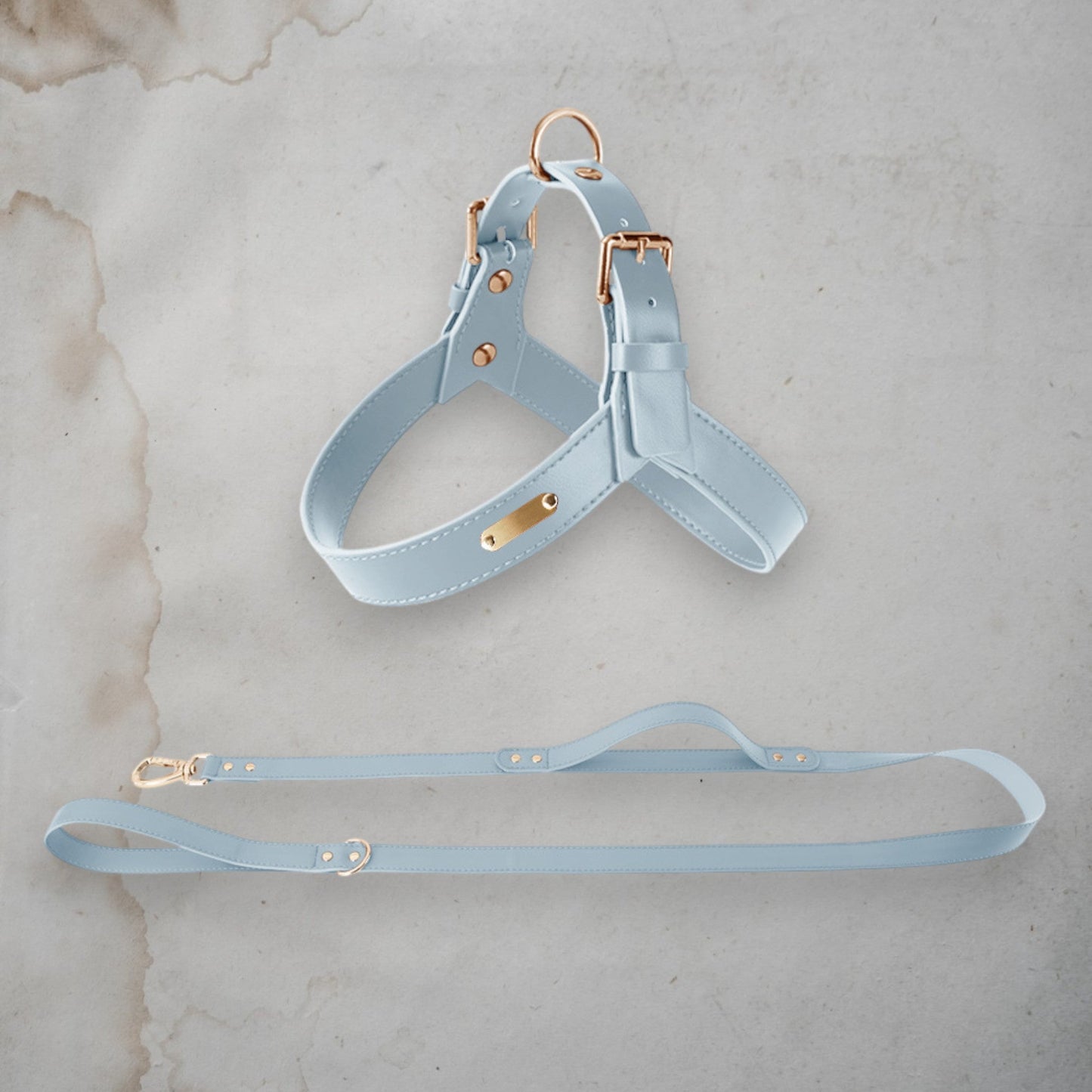 ChicPaws Leash - Chic a Paws