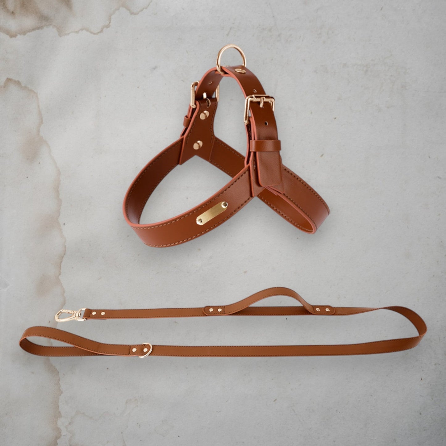 ChicPaws Leash - Chic a Paws