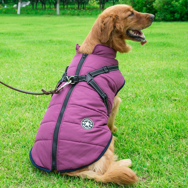 Puffer for Big Paws - Chic a Paws