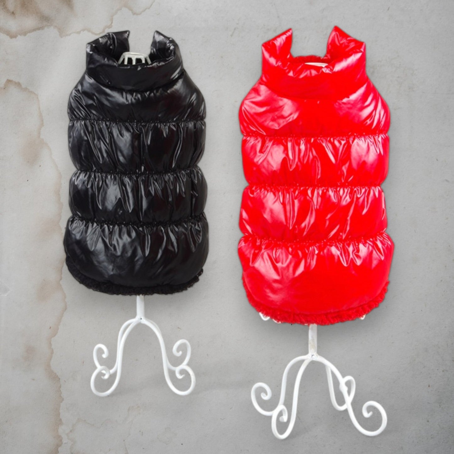 ChicPaws Bright Coat - Chic a Paws