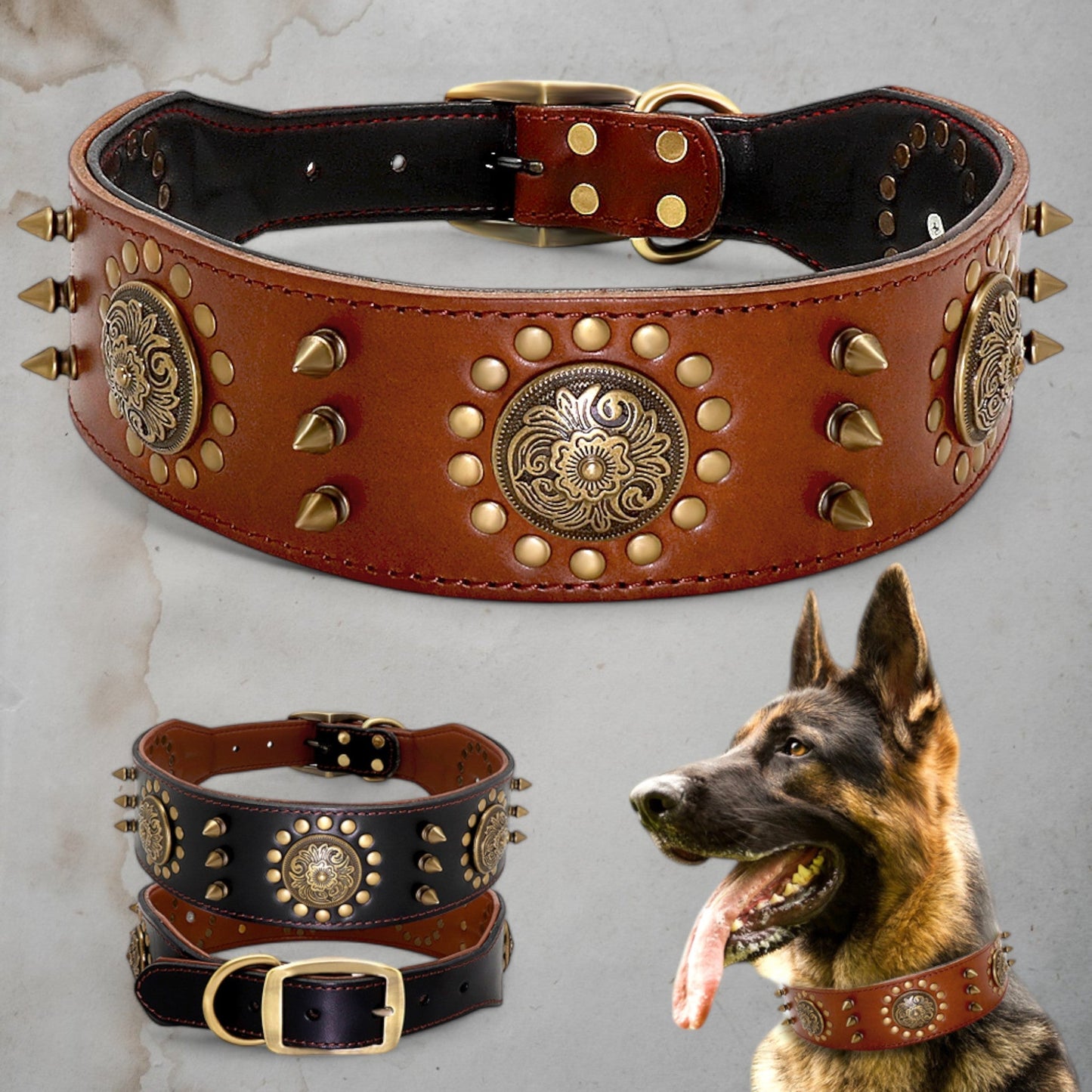Warrior Collar - Chic a Paws