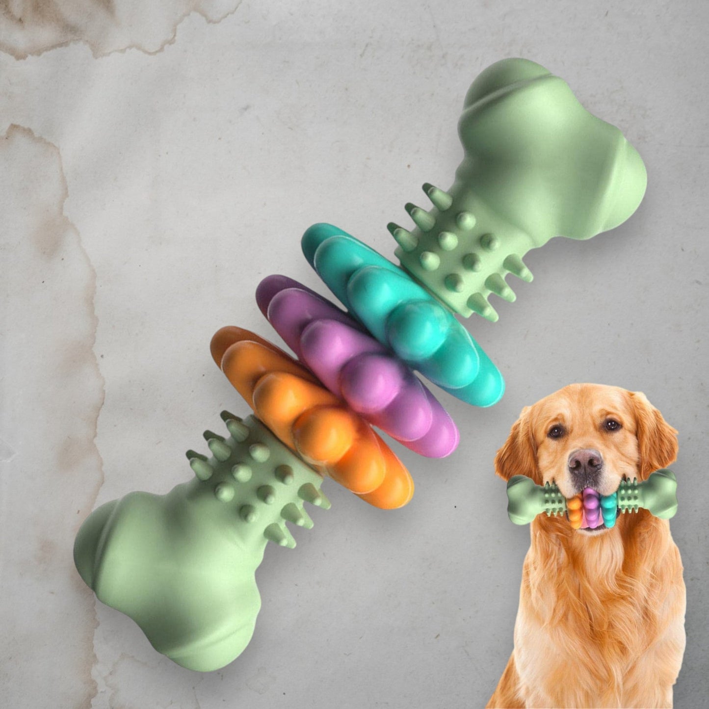 Happy Bone - Chic a Paws