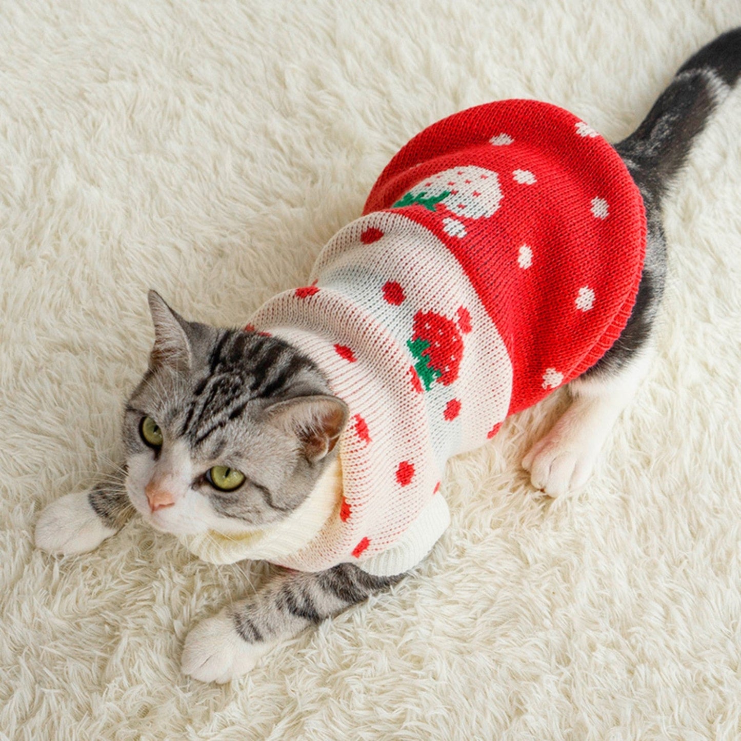 ChicPaws Cozy Cat - Chic a Paws
