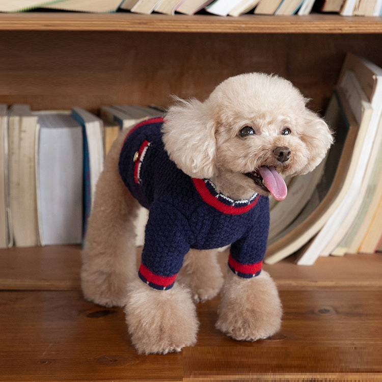 Pawfect Chic Knit Sweater - Chic a Paws