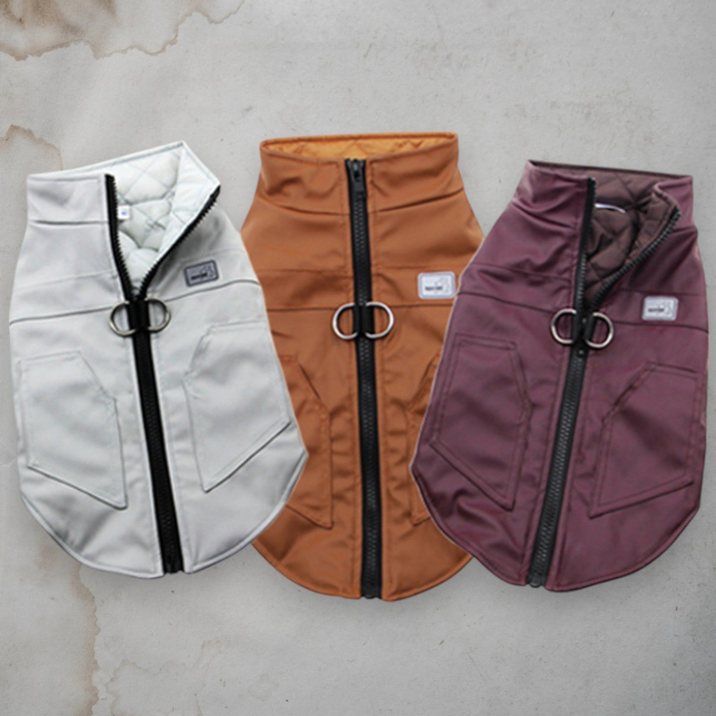 ChicPaws Jacket - Chic a Paws