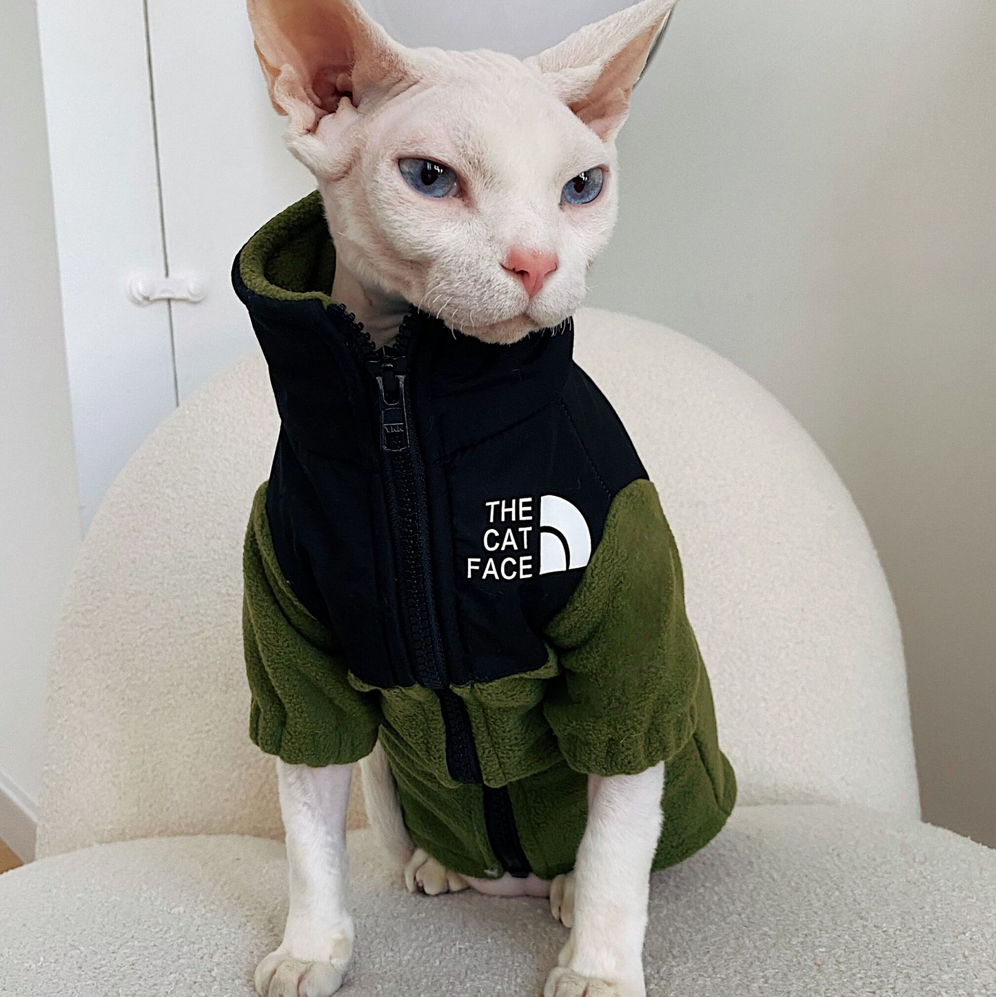 ChicPaws Cat Face - Chic a Paws