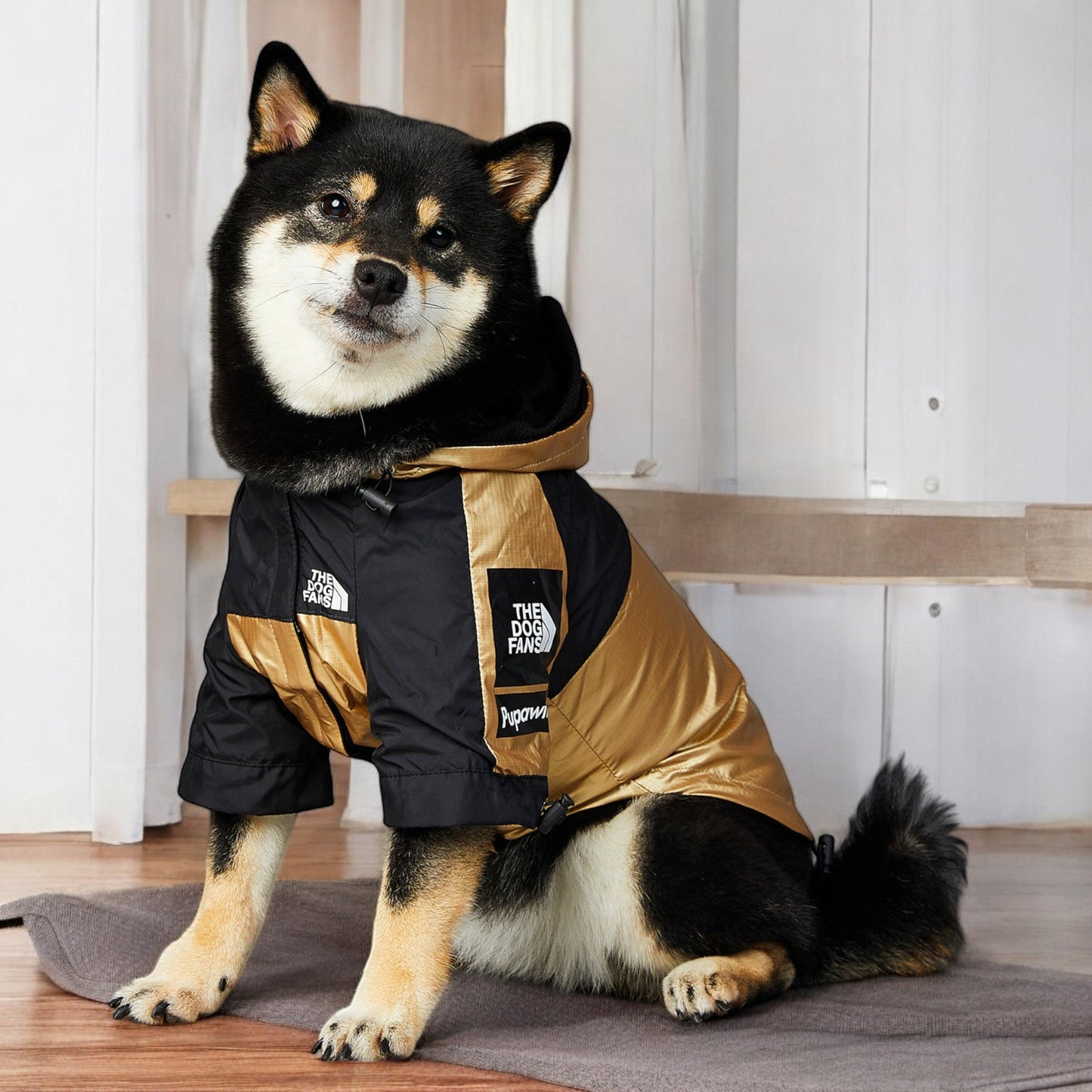 ChicPaws Dog Fans - Chic a Paws
