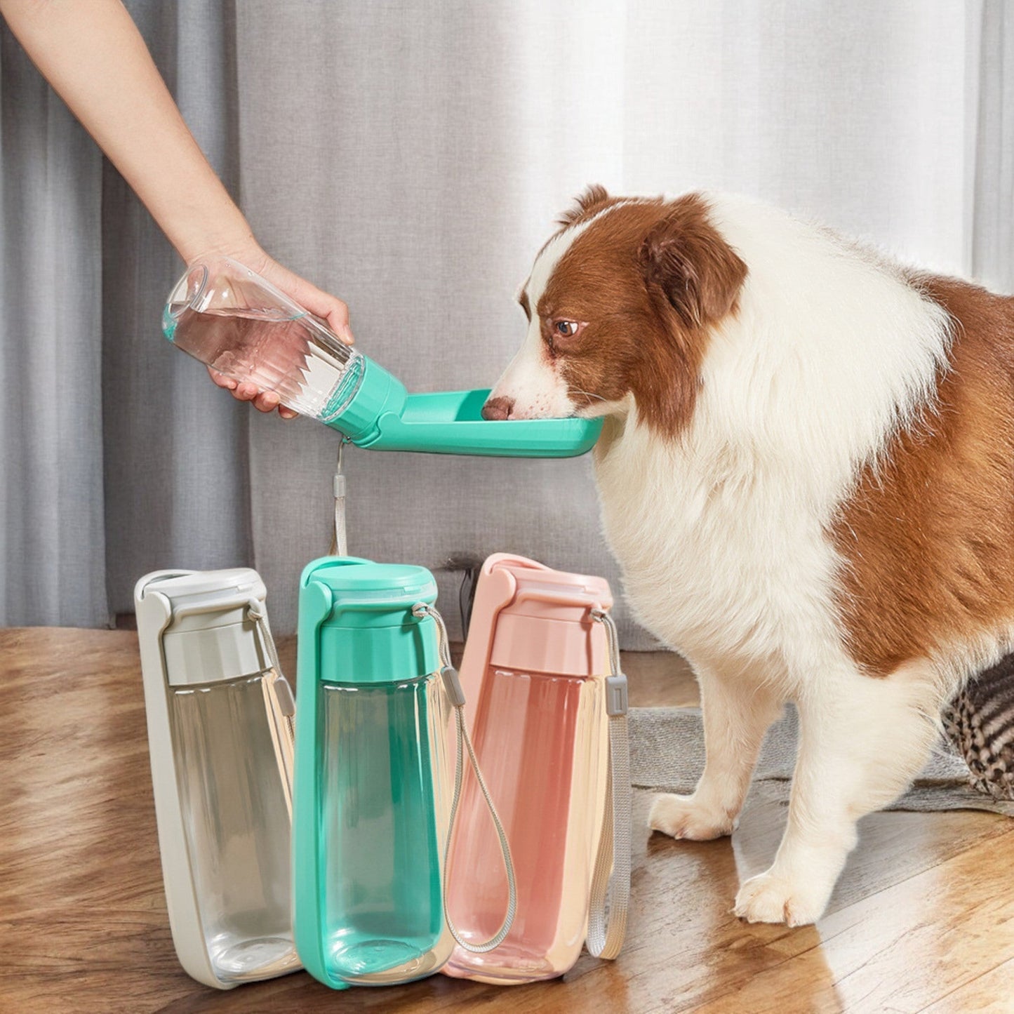 PawBottle - Chic a Paws