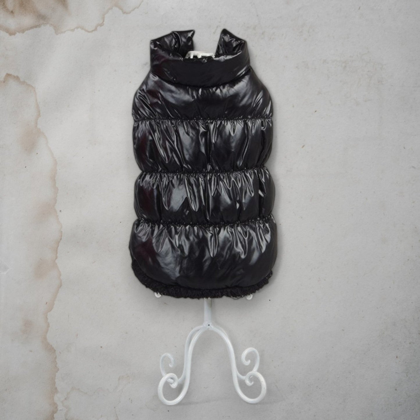 ChicPaws Bright Coat - Chic a Paws