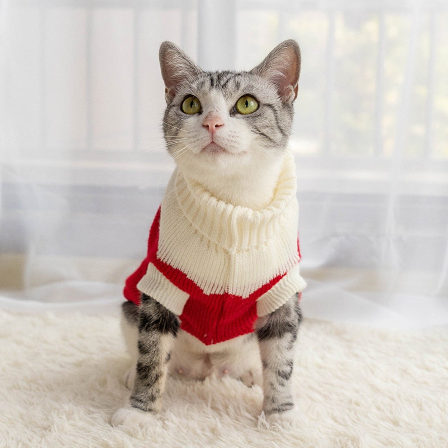 ChicPaws Cozy Cat - Chic a Paws