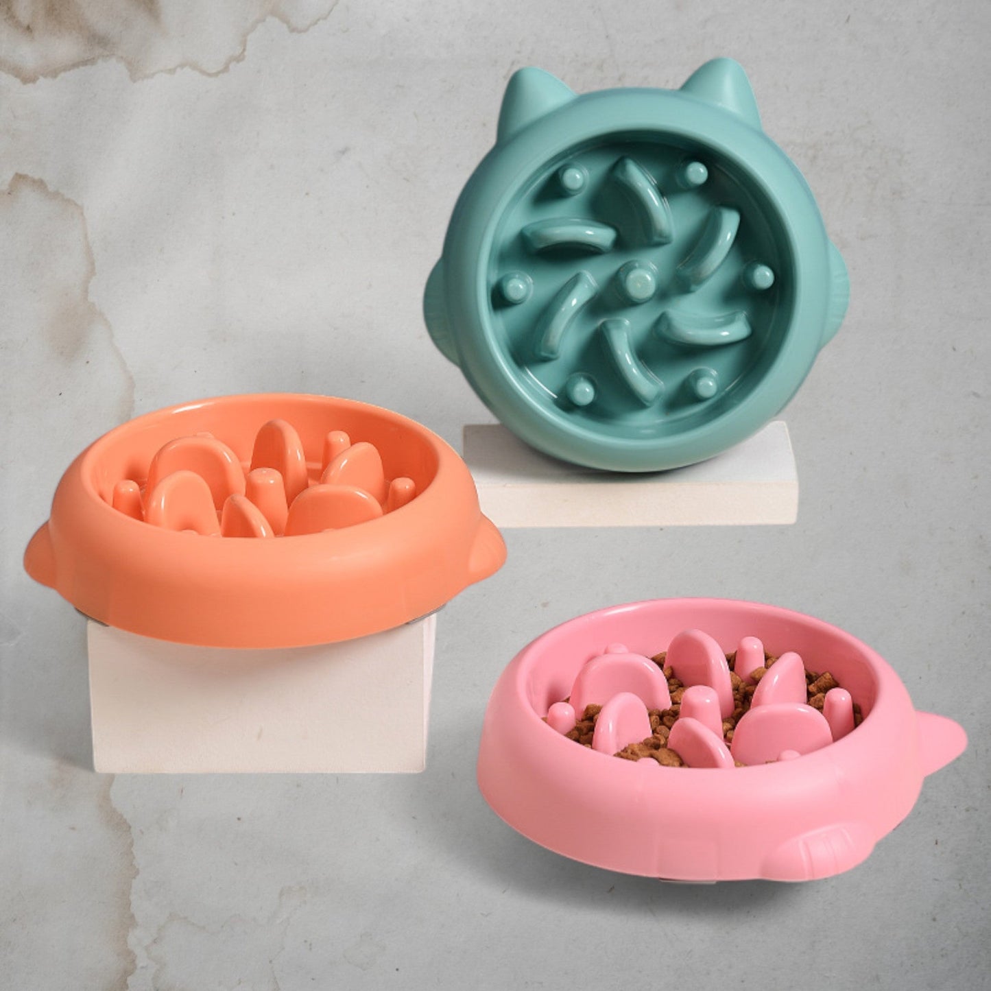 Health Filled Dish - Chic a Paws