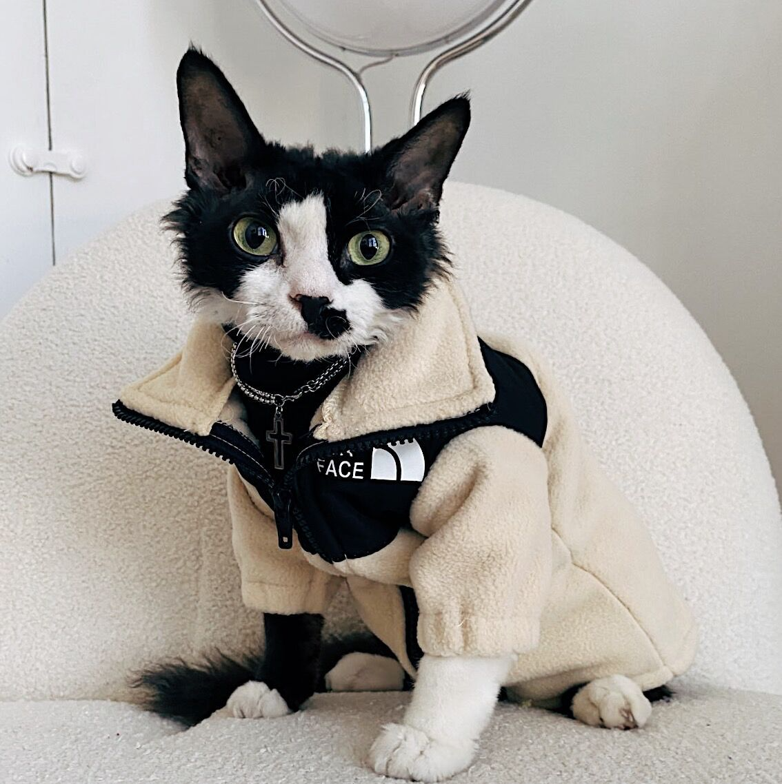 ChicPaws Cat Face - Chic a Paws