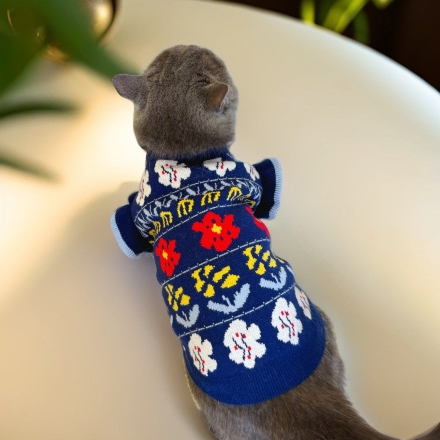 ChicPaws Cozy Cat - Chic a Paws