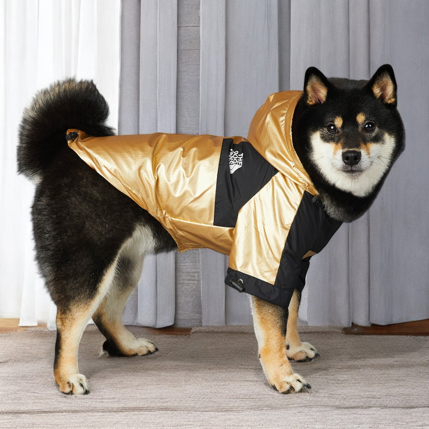 ChicPaws Dog Fans - Chic a Paws