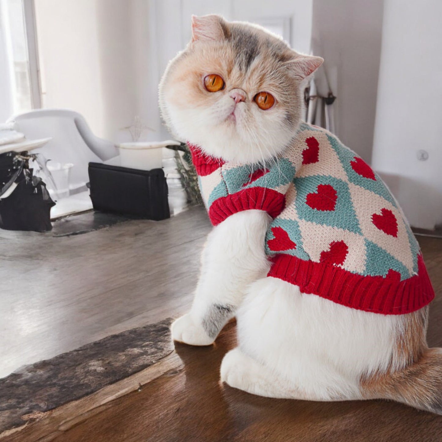 ChicPaws Love You - Chic a Paws