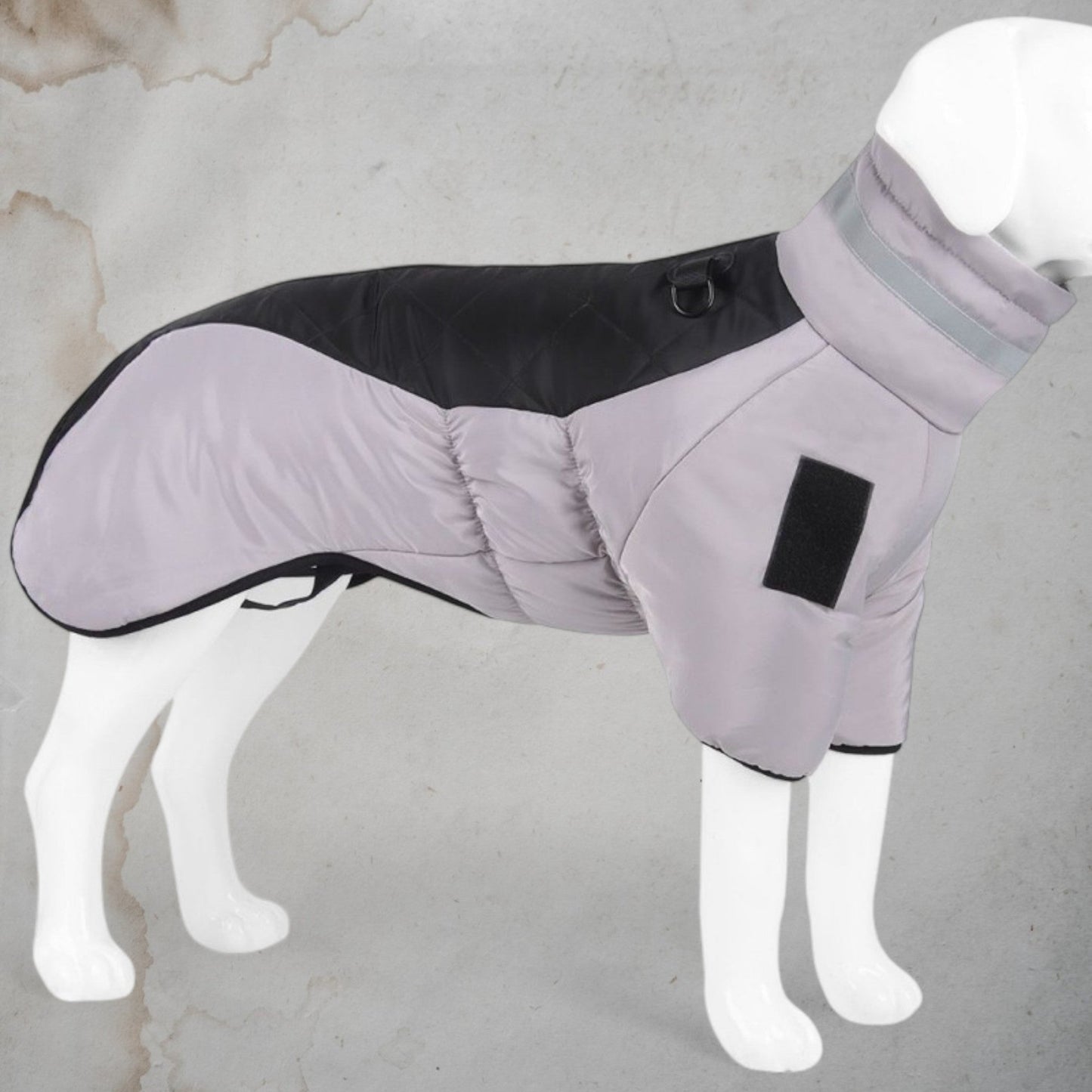 Elegance in the Rain - Chic a Paws