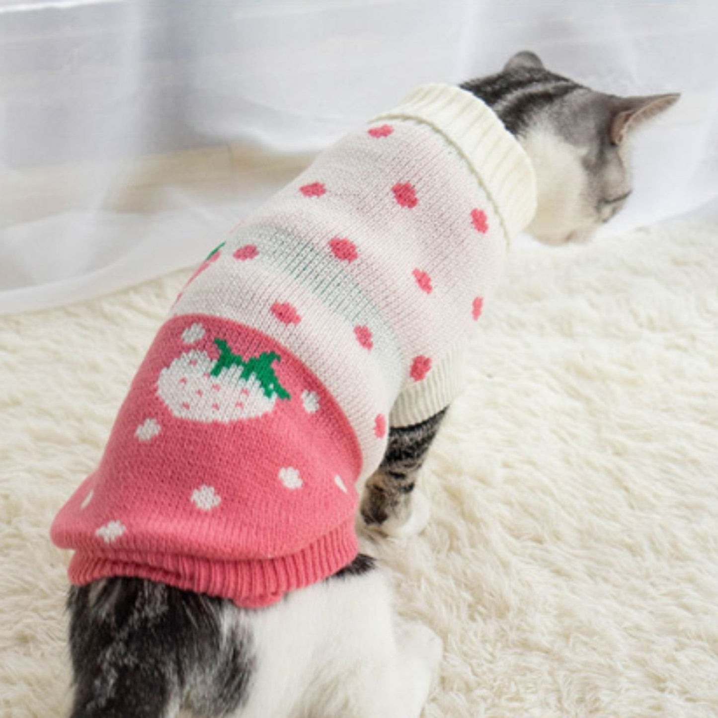 ChicPaws Cozy Cat - Chic a Paws