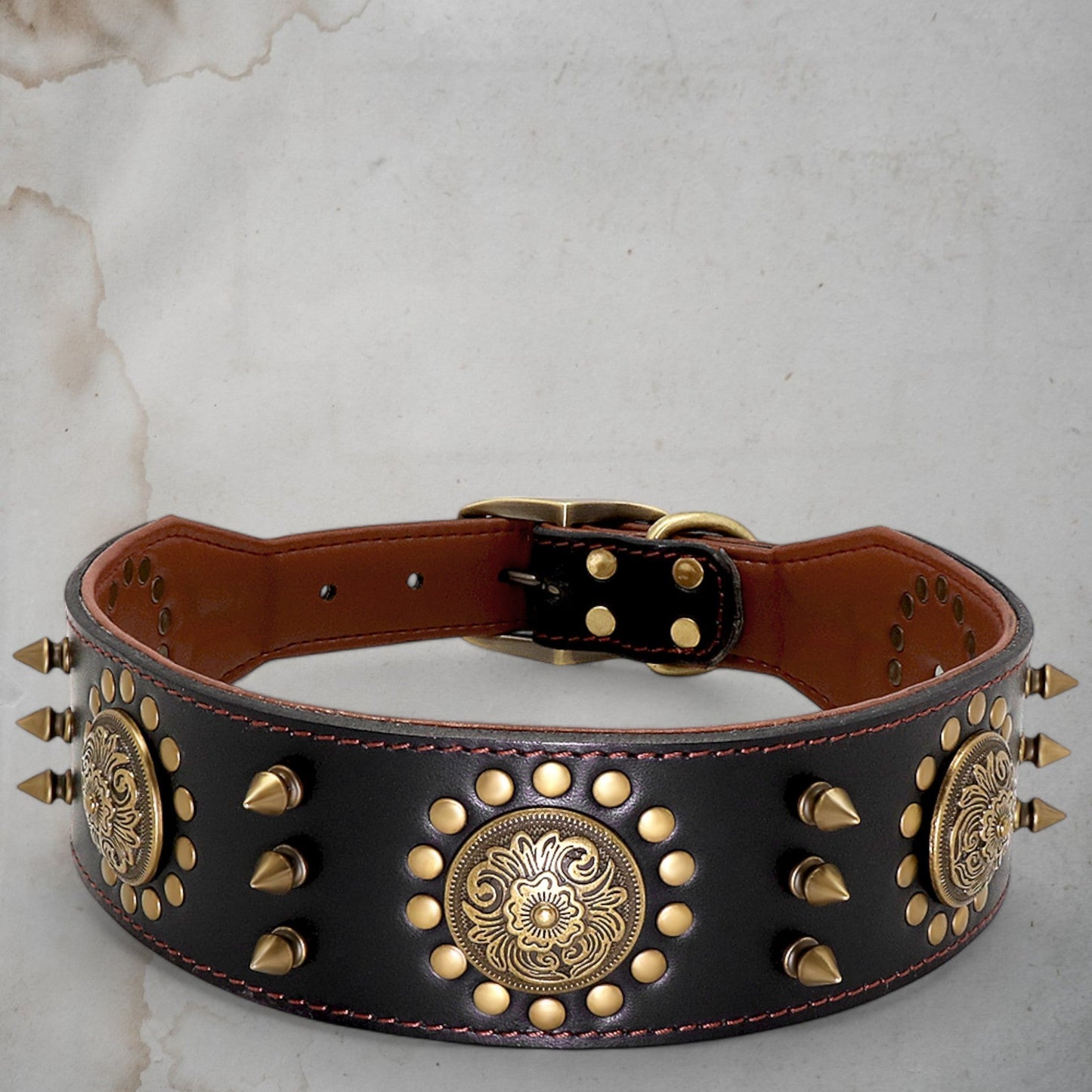 Warrior Collar - Chic a Paws