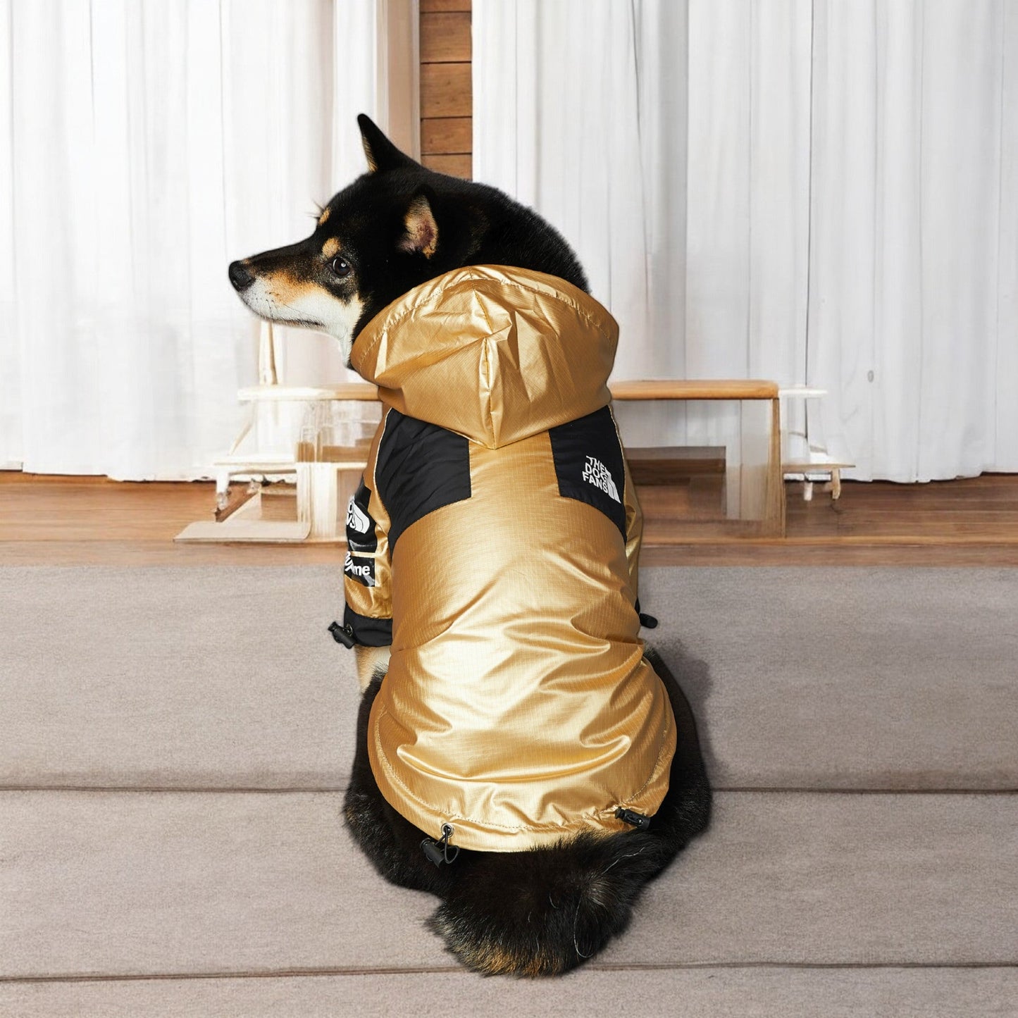 ChicPaws Dog Fans - Chic a Paws