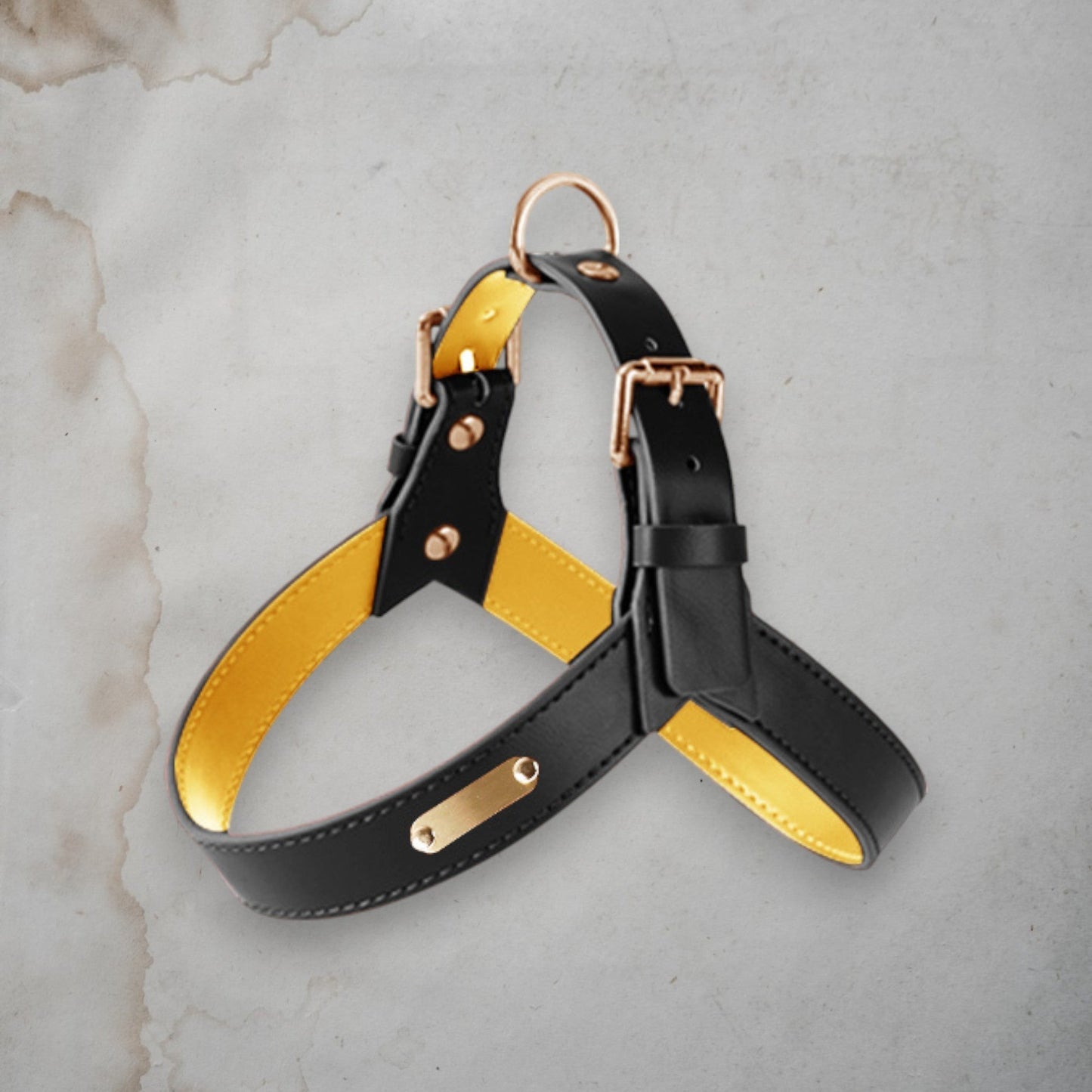 ChicPaws Leash - Chic a Paws