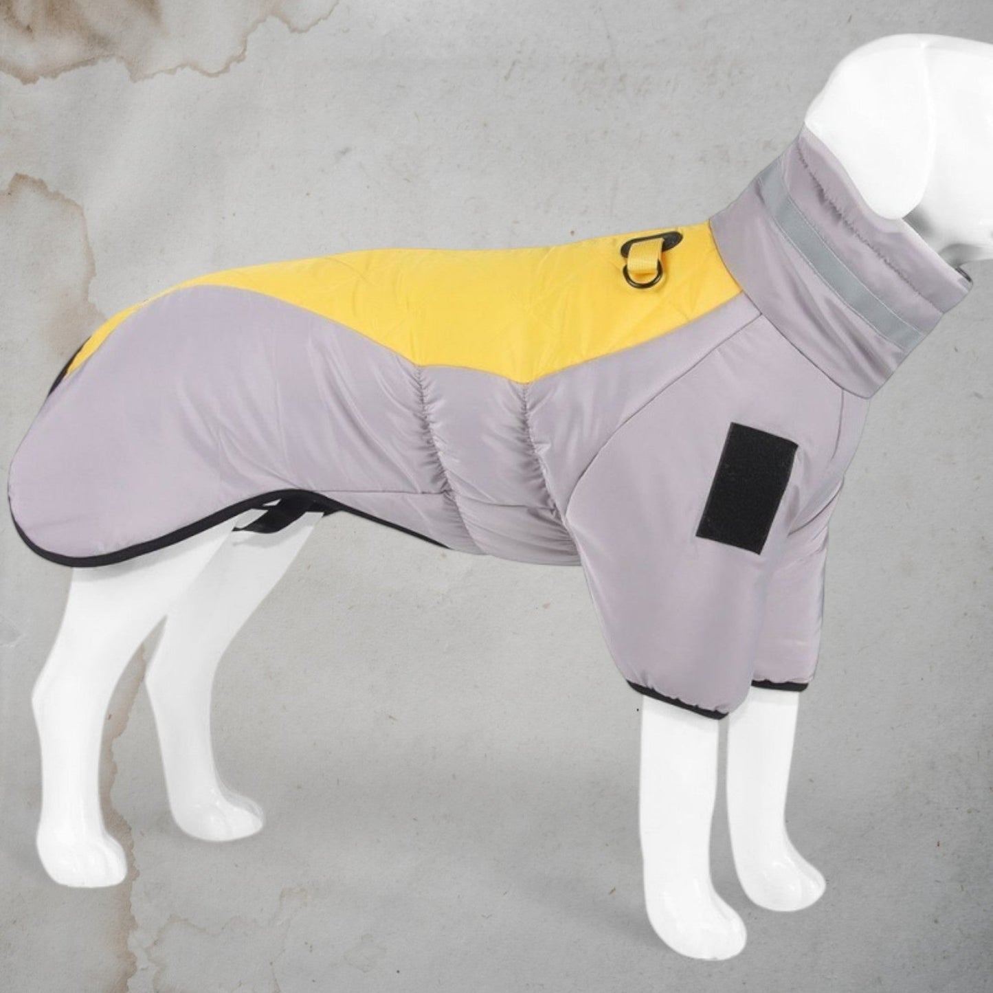 Elegance in the Rain - Chic a Paws