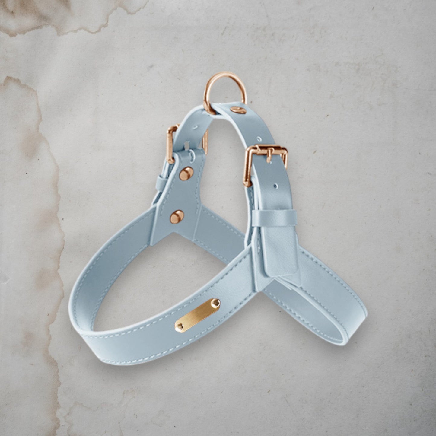 ChicPaws Leash - Chic a Paws