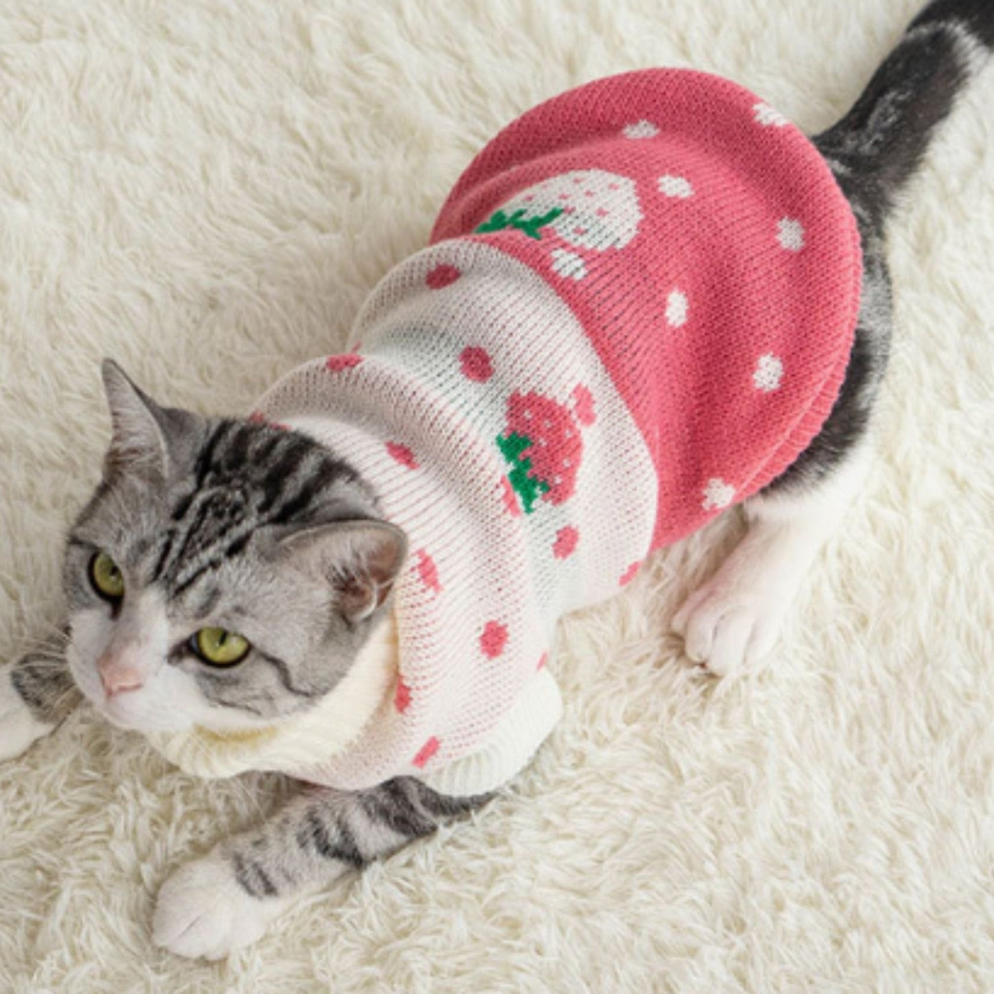 ChicPaws Cozy Cat - Chic a Paws