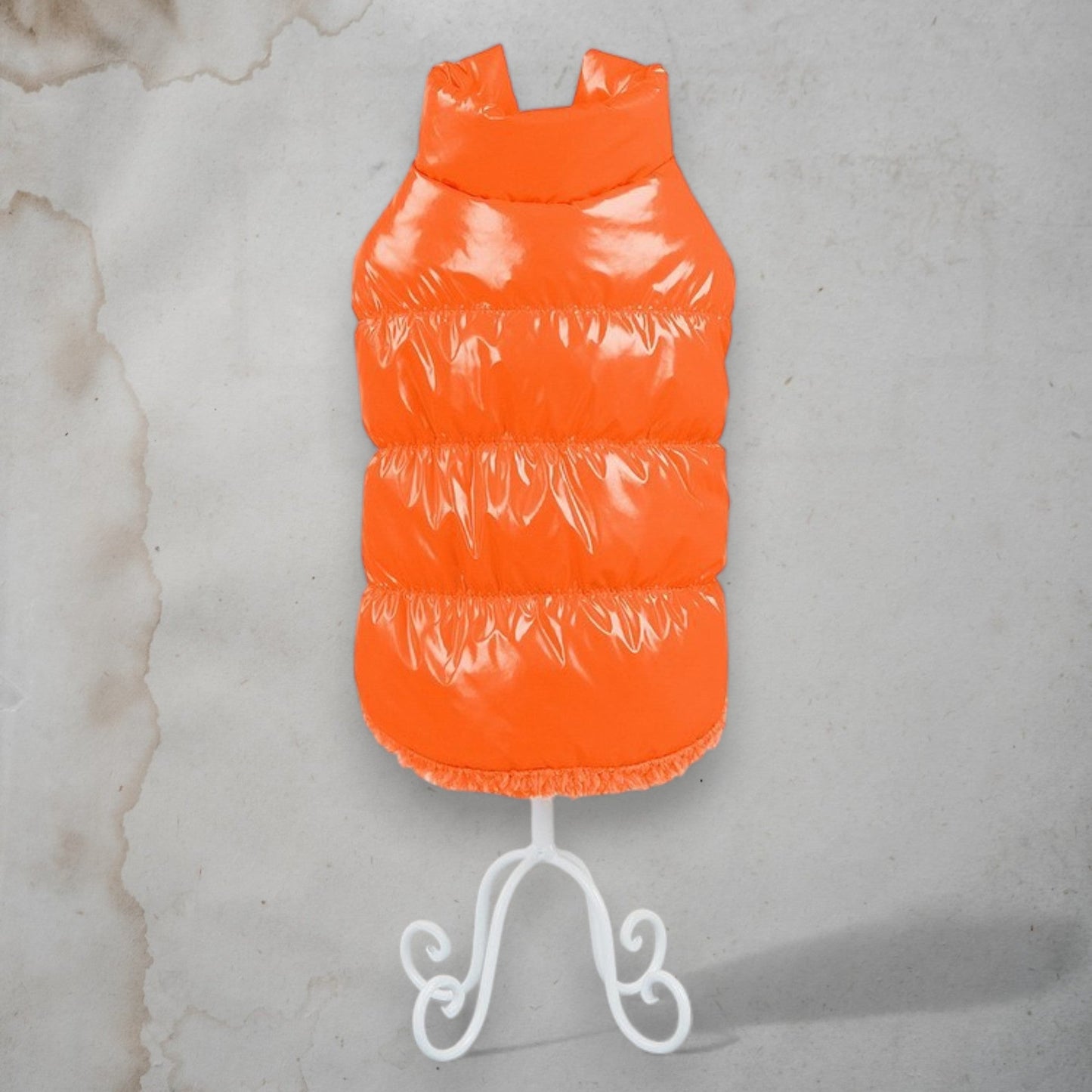 ChicPaws Bright Coat - Chic a Paws