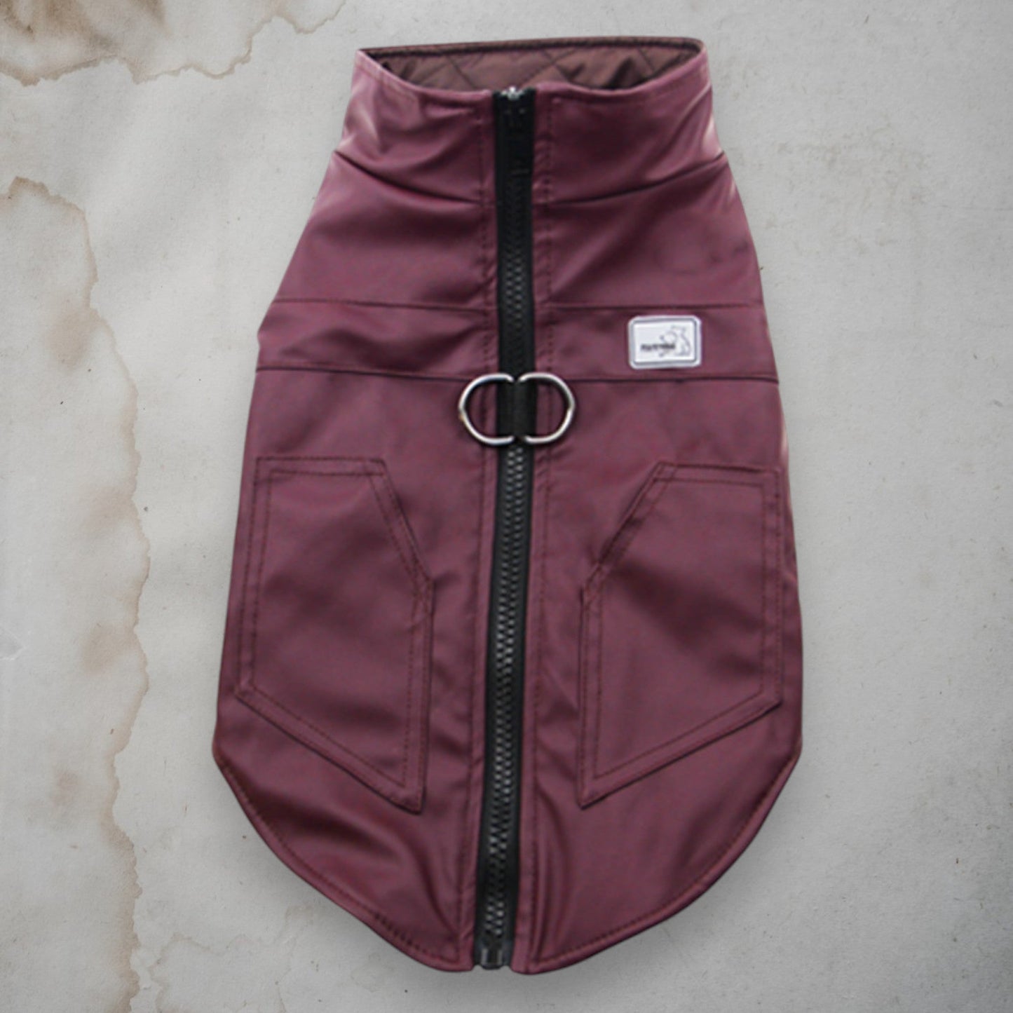 ChicPaws Jacket - Chic a Paws