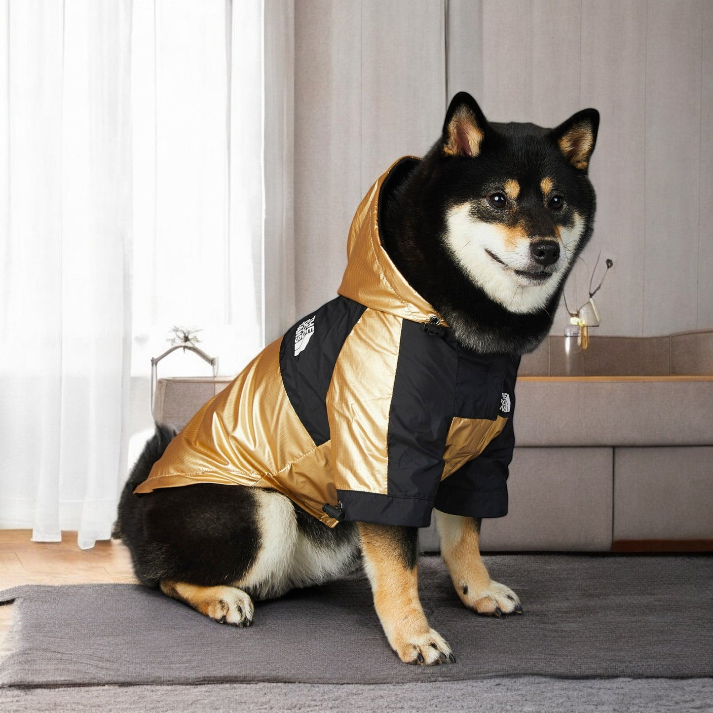 ChicPaws Dog Fans - Chic a Paws