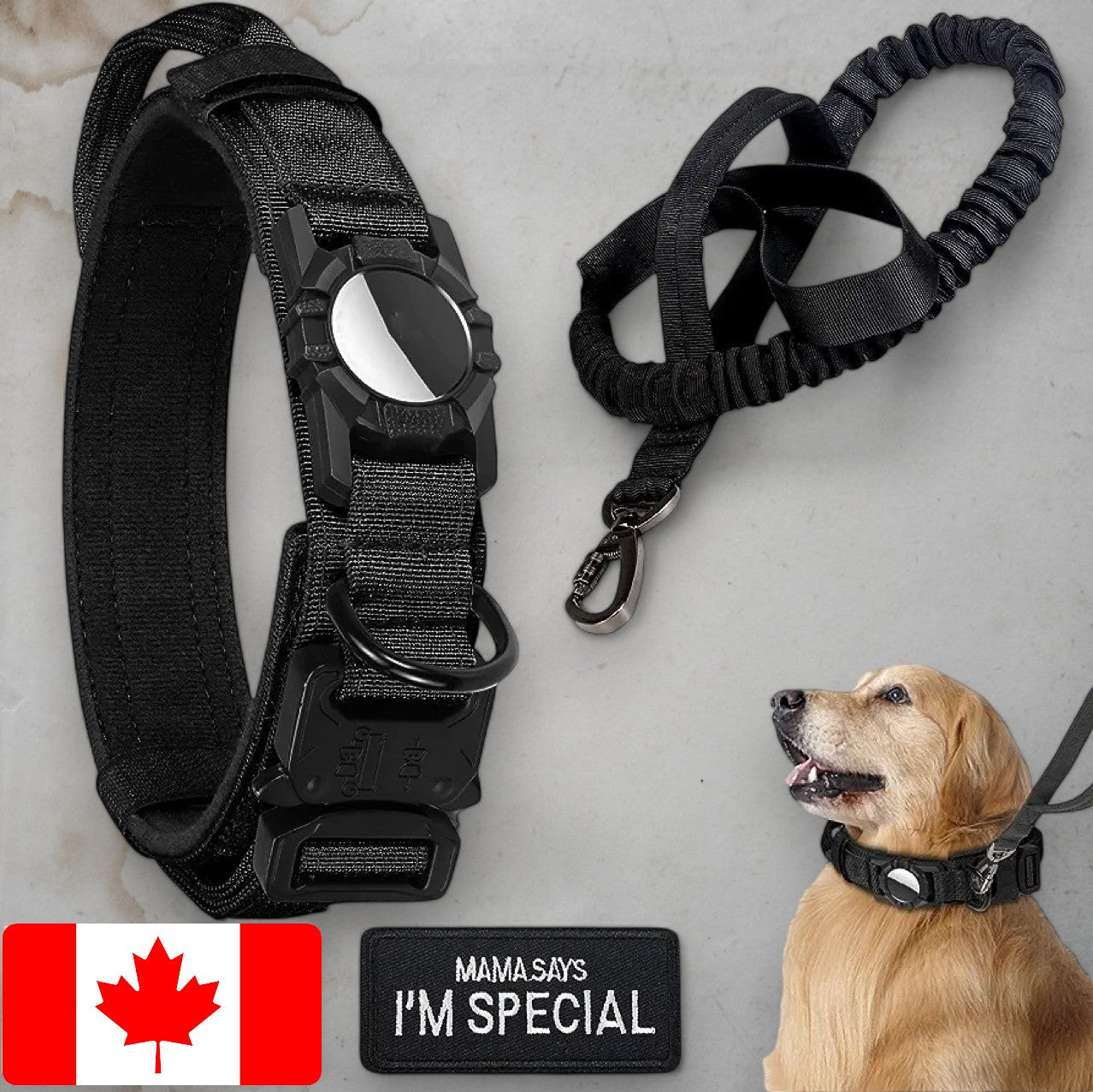 ChicPaws Tactical Leash - Chic a Paws