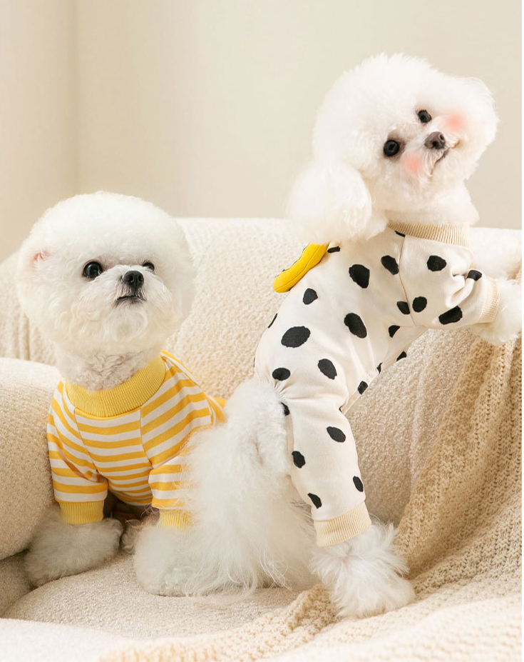 StripePaws - Chic a Paws