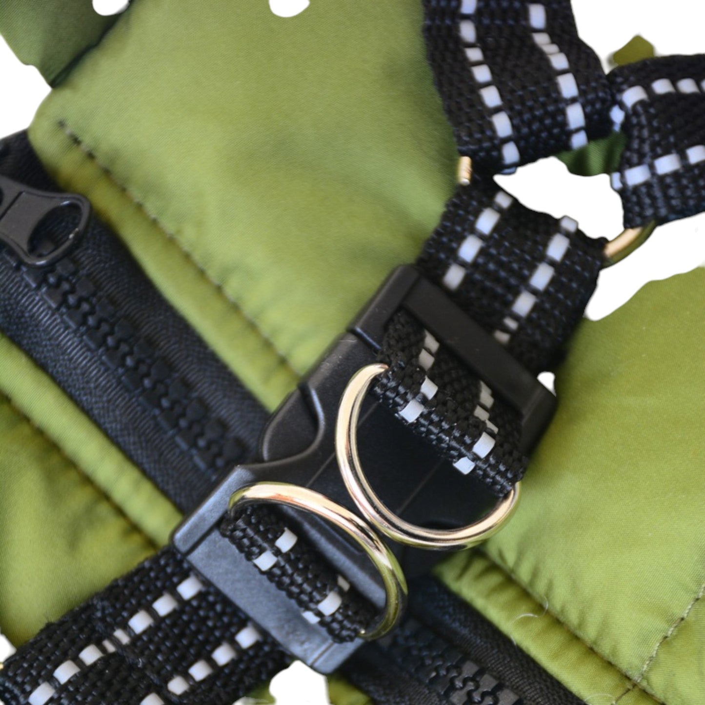 Little Inflatable Elegance - Chic a Paws