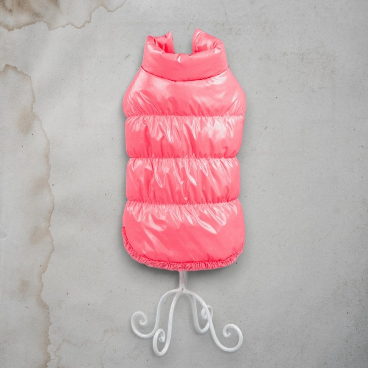 ChicPaws Bright Coat - Chic a Paws