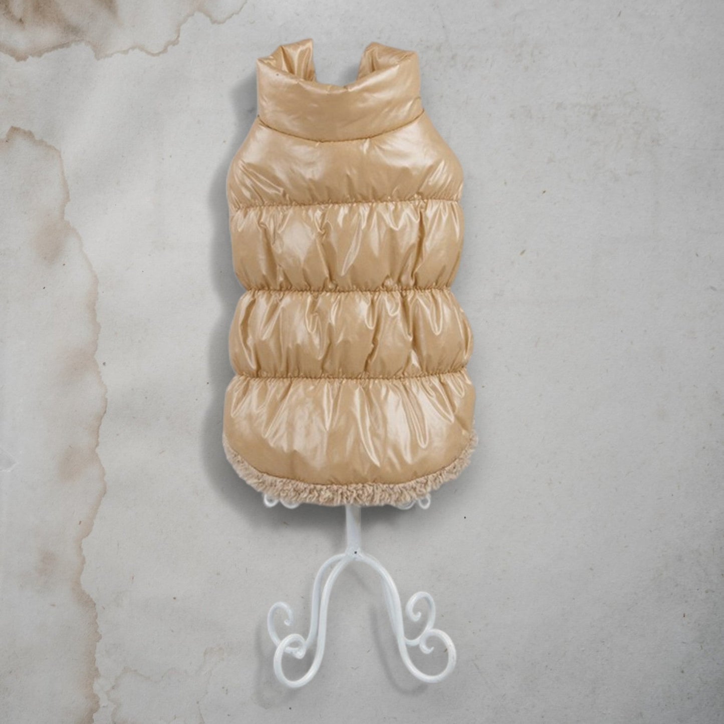 ChicPaws Bright Coat - Chic a Paws