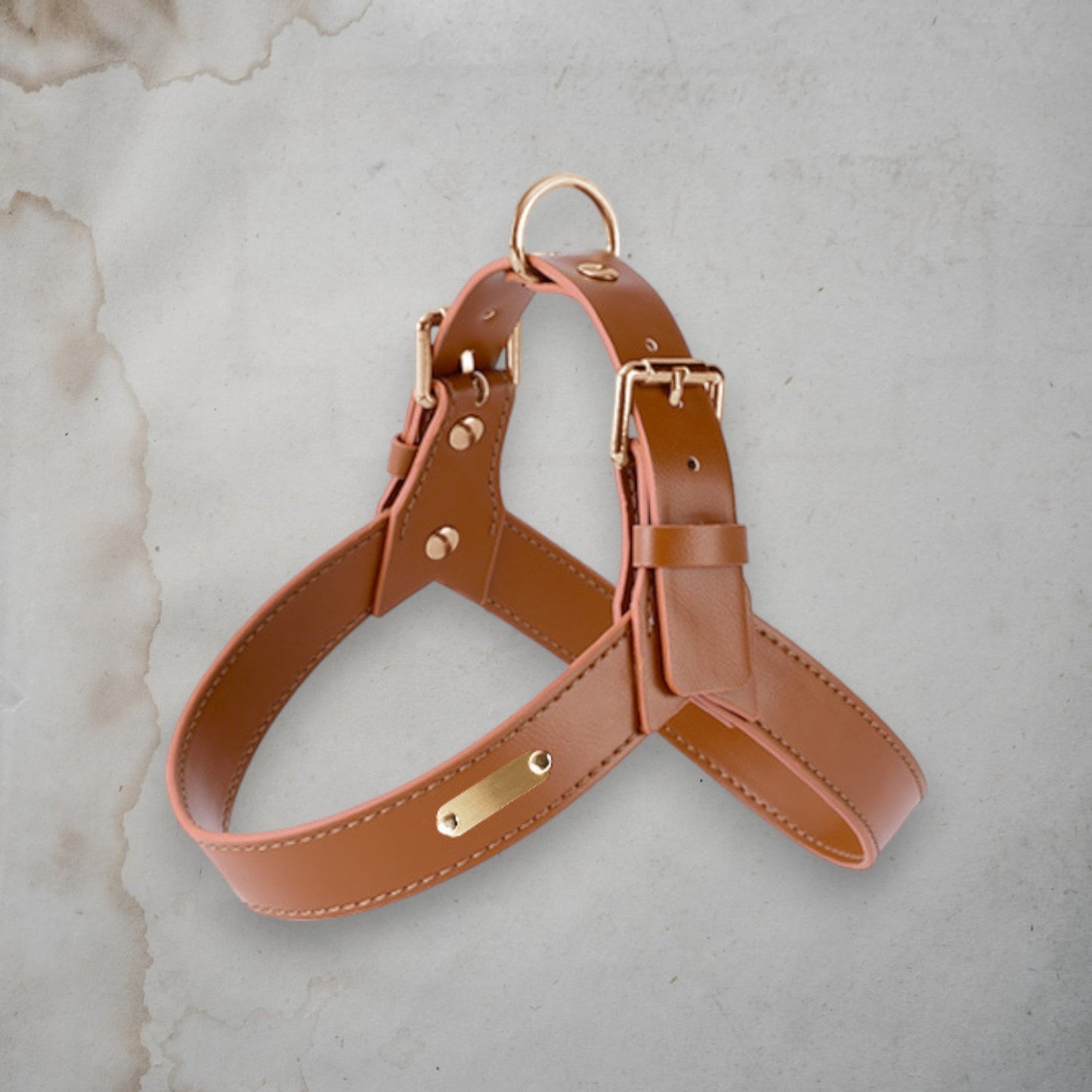 ChicPaws Leash - Chic a Paws