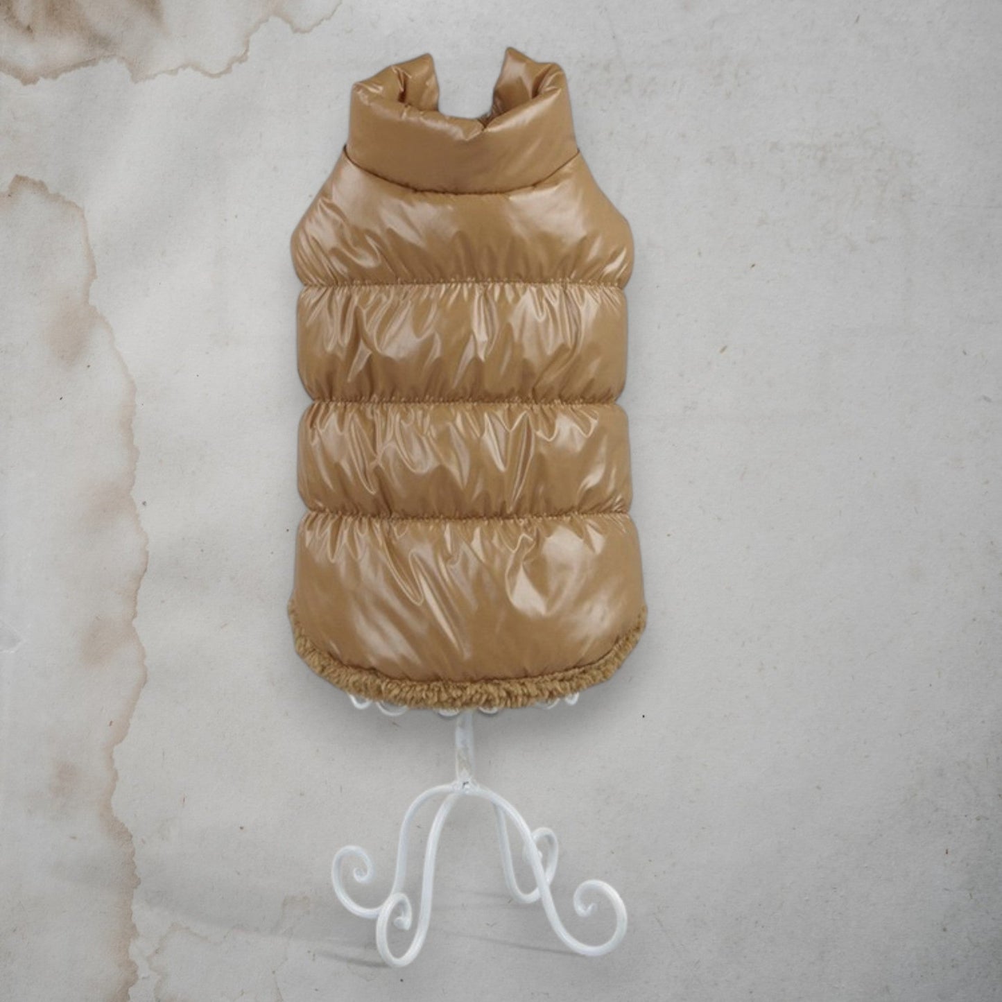 ChicPaws Bright Coat - Chic a Paws