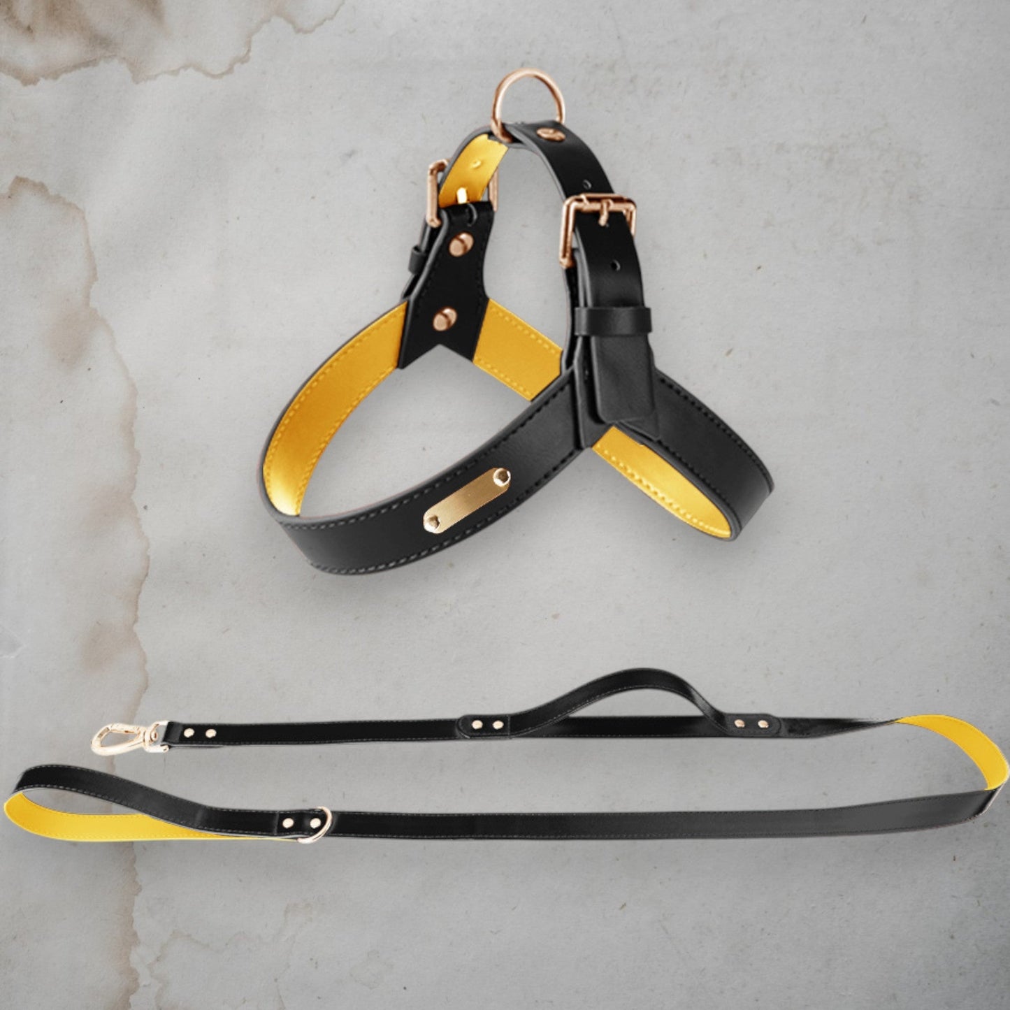 ChicPaws Leash - Chic a Paws