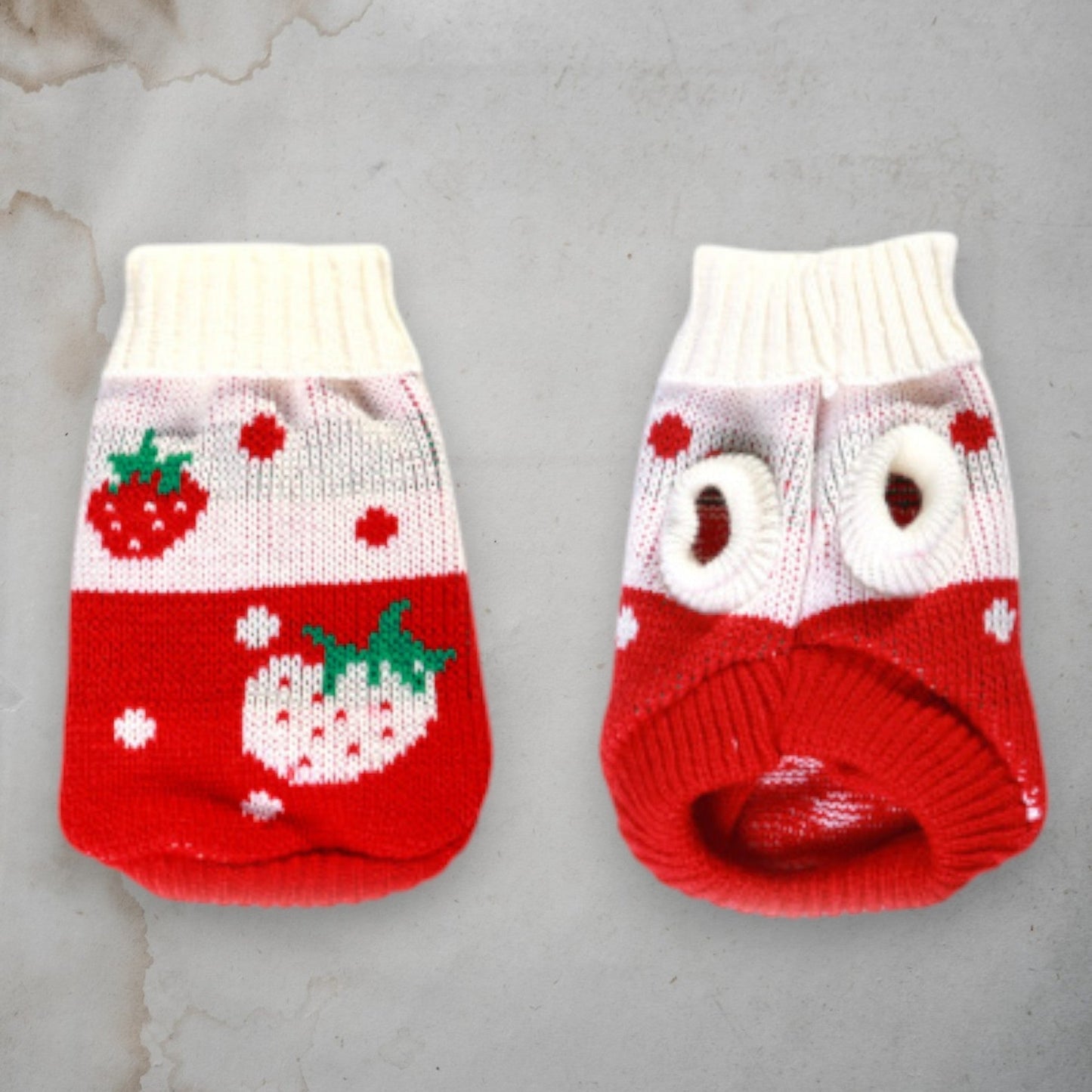 ChicPaws Cozy Cat - Chic a Paws