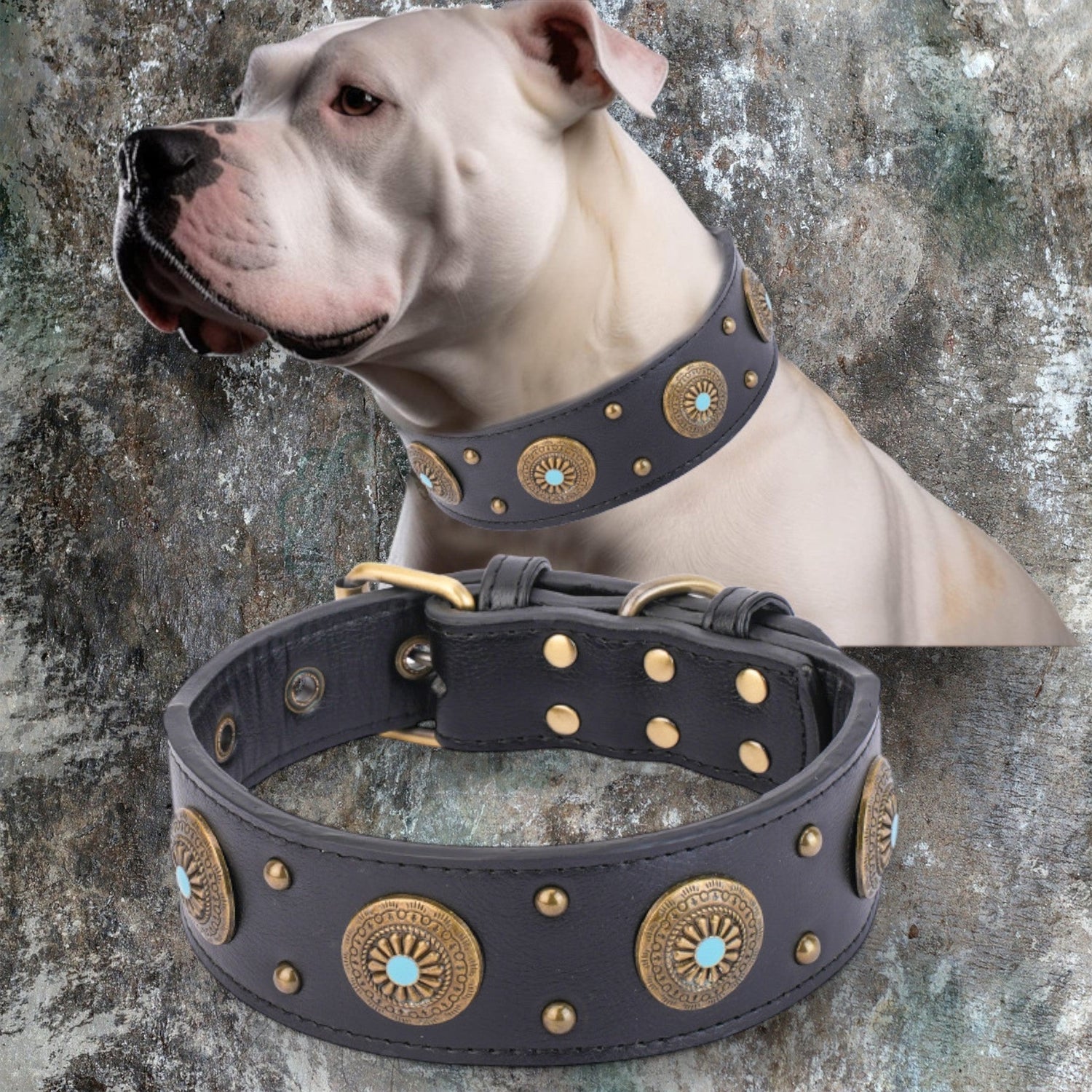 Pawfect Leashes - Chic a Paws