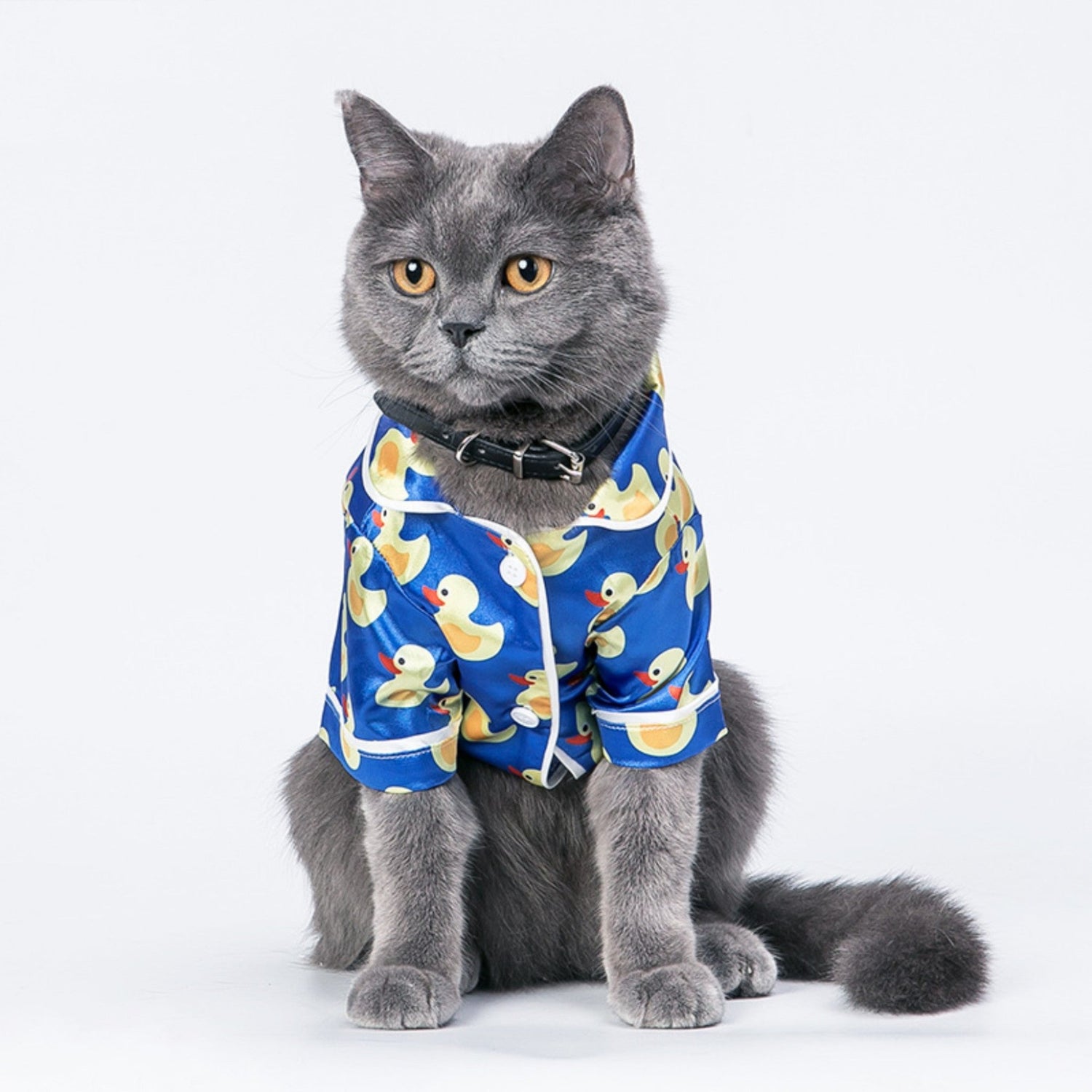 Cat Clothes - Chic a Paws