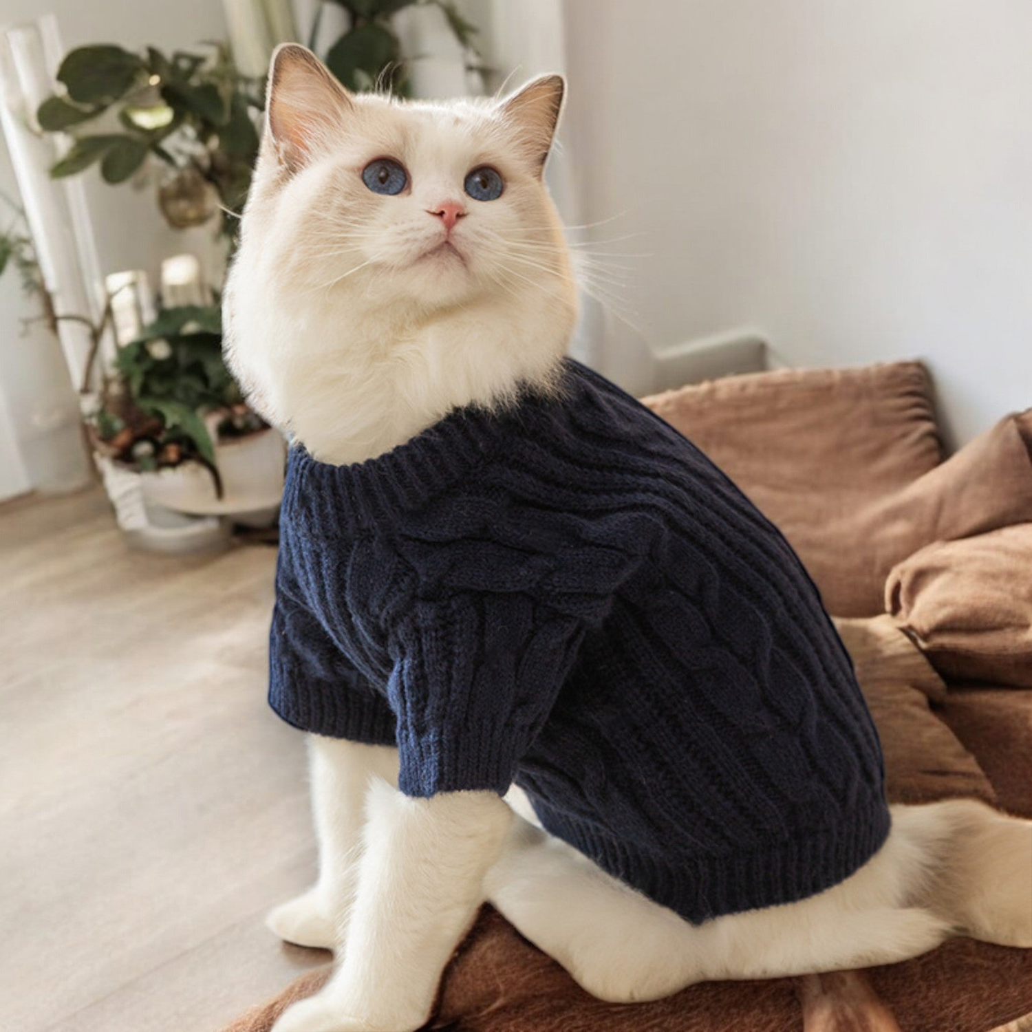 Cat Clothes