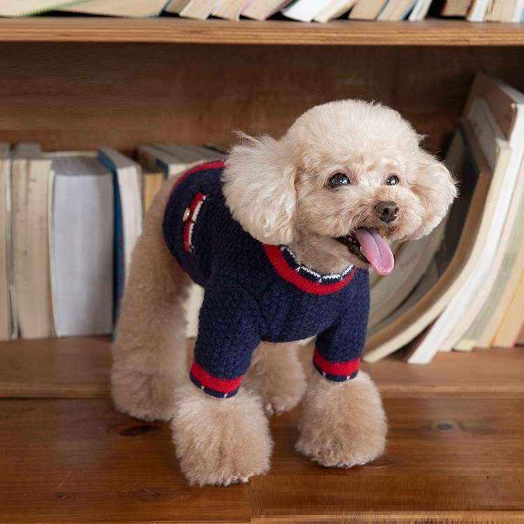 Pawfect Chic Knit Sweater