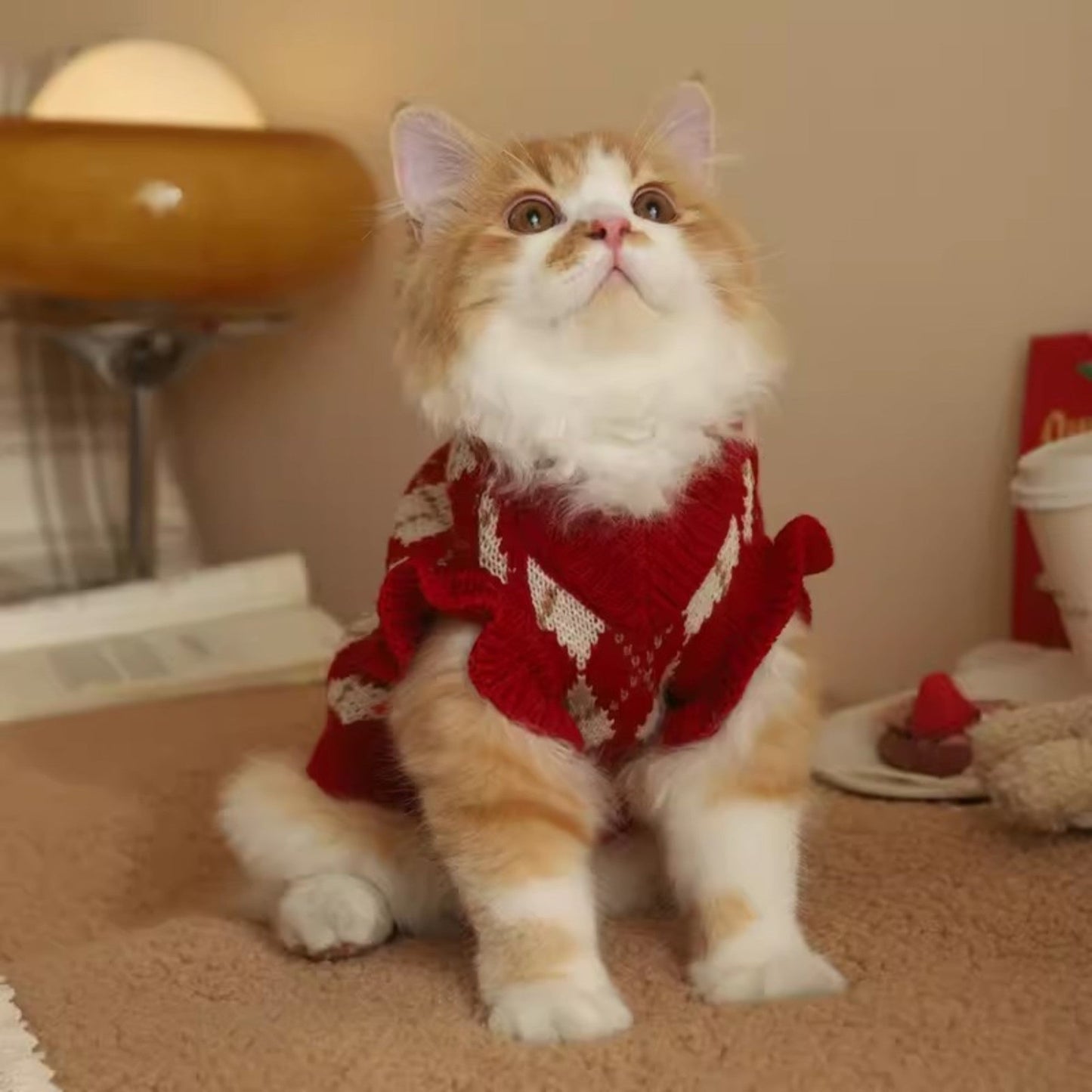 ChicPaws Cozy Cat - Chic a Paws
