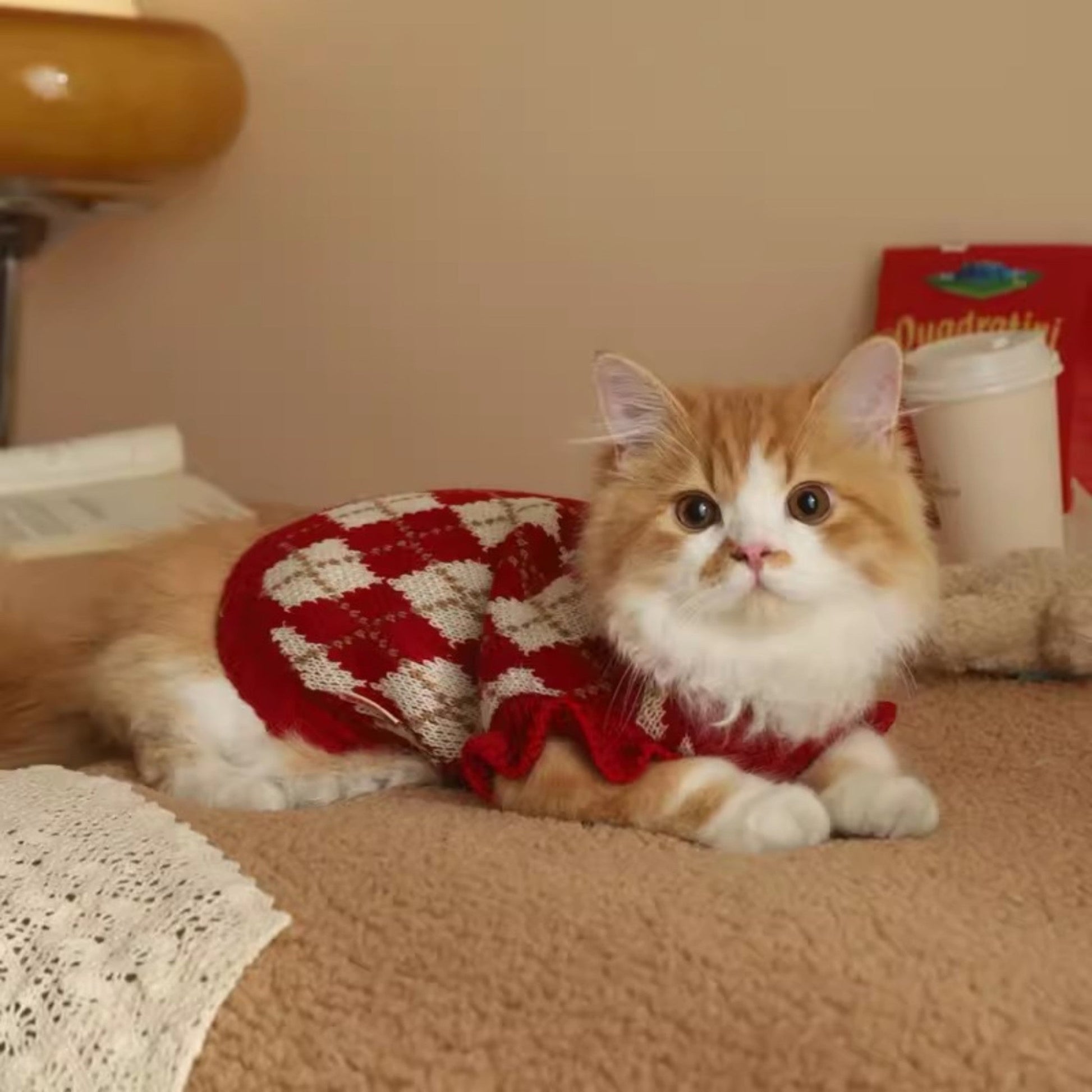 ChicPaws Cozy Cat - Chic a Paws